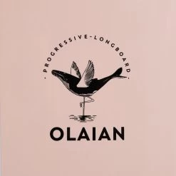 LONGBOARD 900 9'4" 74 L . Livré Avec 1 Aileron 10". -Série Surf longboard 900 94 74 l livre avec 1 aileron 10 6